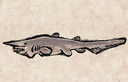 Goblin Shark image from Dave the Diver Wiki