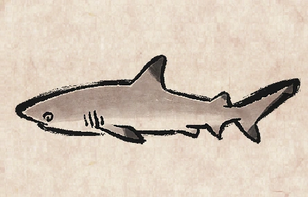 Blacktip Reefshark image from Dave the Diver Wiki