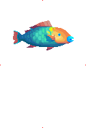 Blue Humphead Parrotfish image from Dave the Diver Wiki