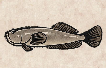 Bluespotted Stargazer image from Dave the Diver Wiki