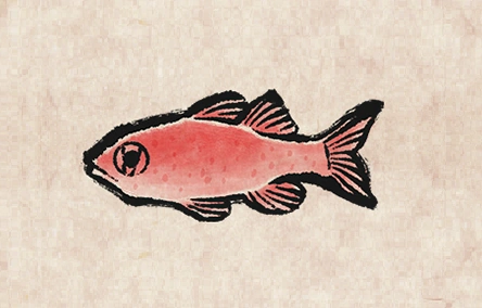 Cardinal Fish image from Dave the Diver Wiki