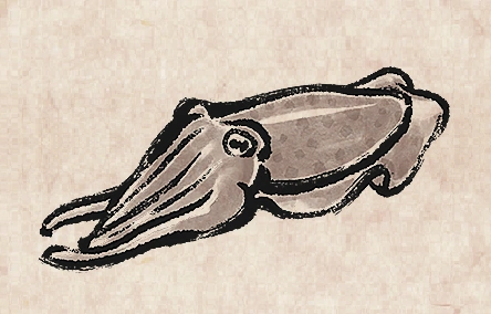 Cuttlefish image from Dave the Diver Wiki