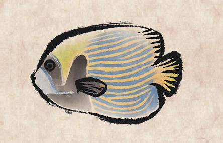 Emperor Angelfish image from Dave the Diver Wiki