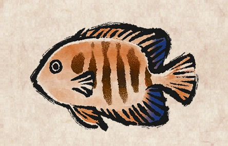 Flame Angelfish image from Dave the Diver Wiki