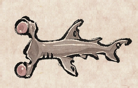Gazing Shark image from Dave the Diver Wiki