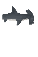 Great Hammerhead Shark image from Dave the Diver Wiki