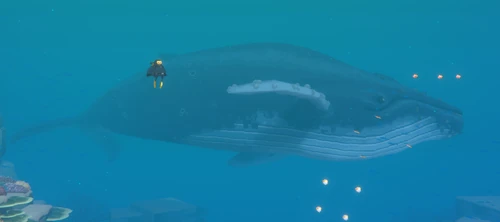 Humpback Whale image from Dave the Diver Wiki