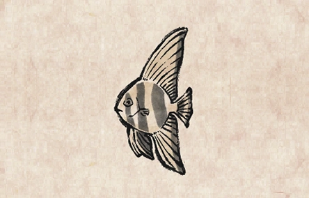 Longfin Batfish image from Dave the Diver Wiki