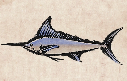 Marlin image from Dave the Diver Wiki