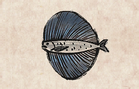 Pacific Fanfish image from Dave the Diver Wiki