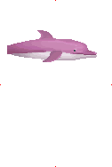 Pink Dolphin image from Dave the Diver Wiki