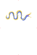 Ribbon Eel image from Dave the Diver Wiki