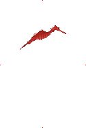 Ruby Seadragon image from Dave the Diver Wiki