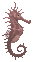 Seahorses image from Dave the Diver Wiki