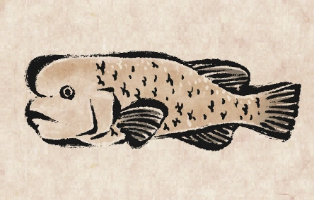 Sheepshead image from Dave the Diver Wiki