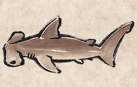 Smooth Hammerhead image from Dave the Diver Wiki
