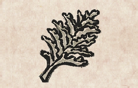 Black Coral image from Dave the Diver Wiki