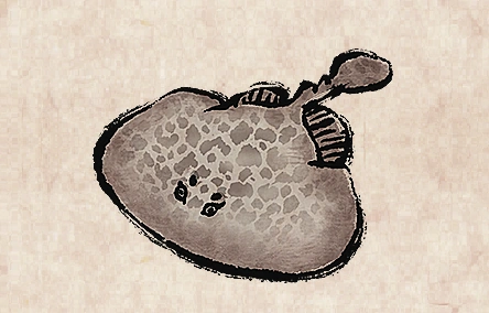 Marbled Electric Ray Meat image from Dave the Diver Wiki