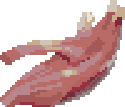 Bloodskin Shark Tendon image from Dave the Diver Wiki