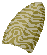 Cuttlefish Skin Fragment image from Dave the Diver Wiki