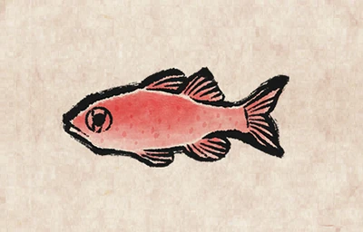 Ruby image from Dave the Diver Wiki