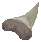 Whitetip Reefshark Tooth image from Dave the Diver Wiki
