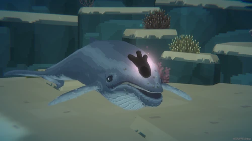 Finding the Baby Whale image from Dave the Diver Wiki