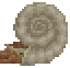 Ammonite image from NiaMeowDB