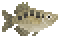 Archerfish image from NiaMeowDB