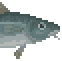 Arctic Cod image from NiaMeowDB