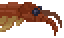 Baby Anomalocaris image from NiaMeowDB