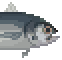 Bigeye Trevally image from NiaMeowDB