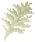 Black Coral image from NiaMeowDB