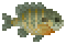 Blue Gill image from NiaMeowDB
