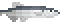 Capelin image from NiaMeowDB