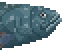 Coelacanth image from NiaMeowDB