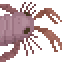 Crab Trap Ciurcopterus image from NiaMeowDB