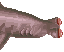 Dredge Gazing Shark image from NiaMeowDB