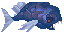 Dredge Grotesque Mackerel image from NiaMeowDB