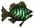 Dredge Voltaic Grouper image from NiaMeowDB