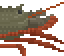 Eastern Rock Lobster image from NiaMeowDB