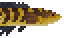 Emperor Snakehead image from NiaMeowDB