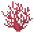 Gelidium image from NiaMeowDB