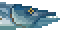 Great Barracuda image from NiaMeowDB