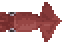 Humboldt Squid image from NiaMeowDB