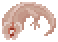 Lizard Meat image from NiaMeowDB