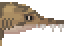 meat Long Nose Saw Shark image from NiaMeowDB
