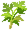 Loot Cilantro image from NiaMeowDB