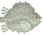 Lump Fish image from NiaMeowDB
