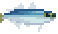 Mackerel Scad image from NiaMeowDB